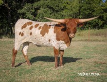 FIFTY  GOLD CONFETTI