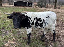 ELLIE MAE