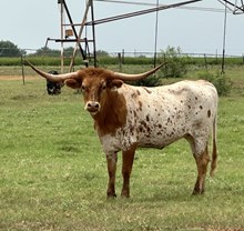 IM Headed for Eclipse