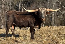 Hicks Droppin’ Dimes